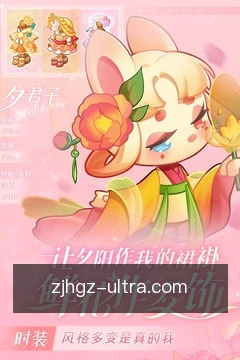 牌型对比